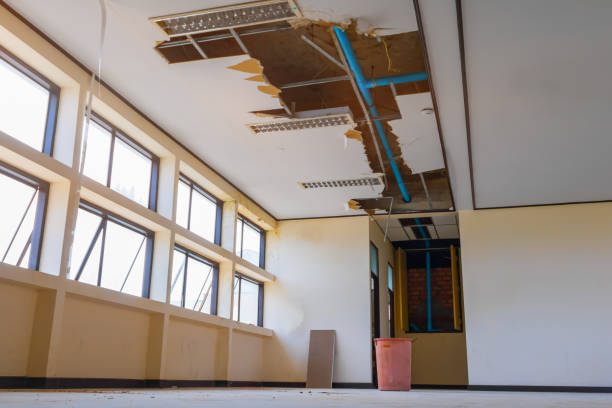 Best Flood restoration services  in Cologne, NJ