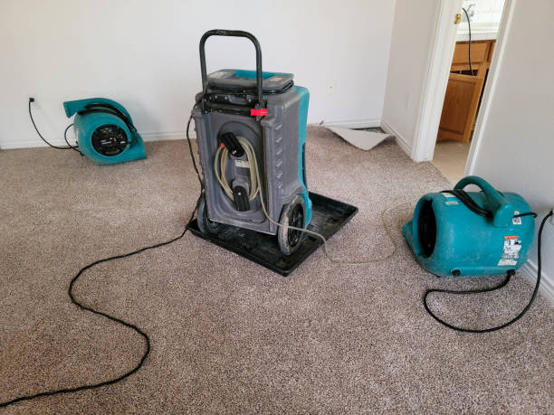 Best Flood damage cleanup  in Cologne, NJ