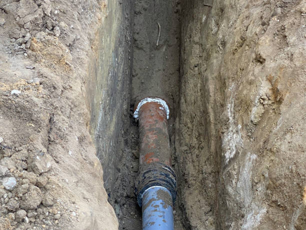 Best Flood restoration services  in Cologne, NJ