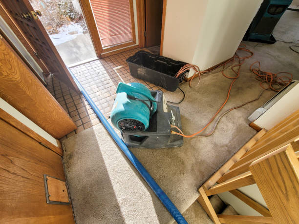 Best Residential water damage restoration  in Cologne, NJ