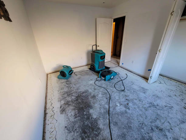 Best Water damage restoration near me  in Cologne, NJ
