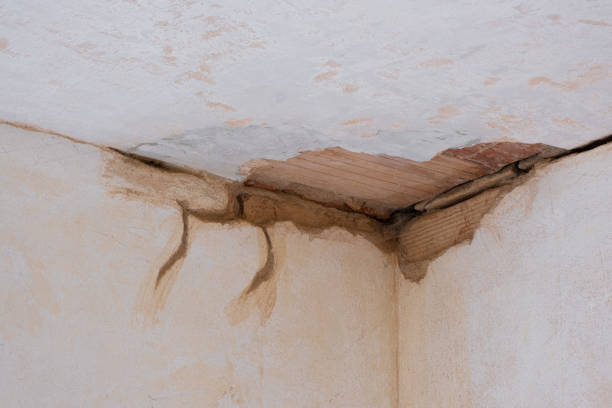 Best Ceiling water damage repair  in Cologne, NJ