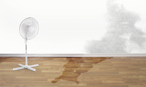 Best Flood restoration services  in Cologne, NJ