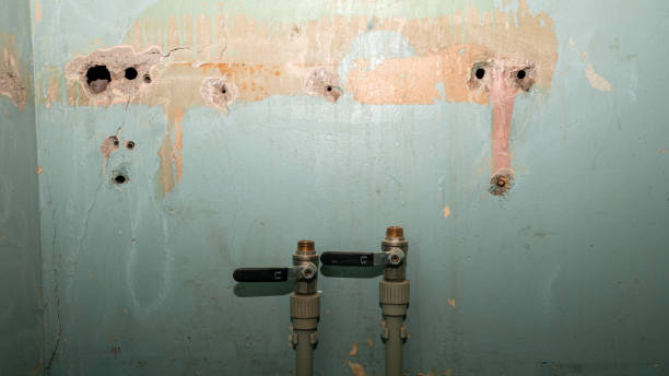 Best 24-hour water damage restoration  in Cologne, NJ