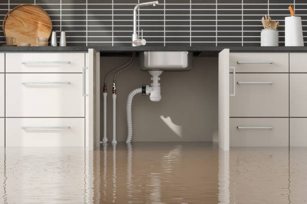 Best Water damage mitigation services  in Cologne, NJ
