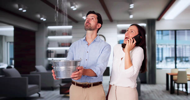 Best Water damage cleanup near me  in Cologne, NJ